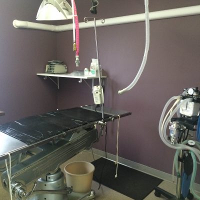 Surgery Suite