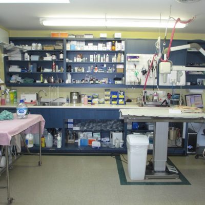 Treatment Room